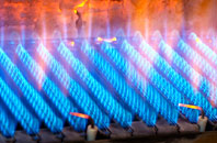 Bandrake Head gas fired boilers